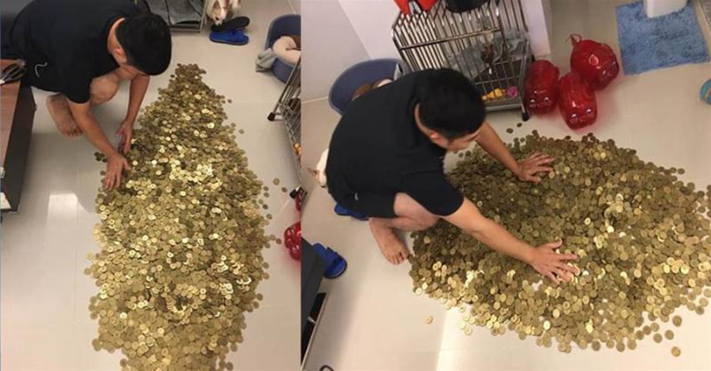 4年存3宰豬公,硬幣如黃金地毯清點,50公斤私房錢,網驚:簡直救經濟,能付頭期款