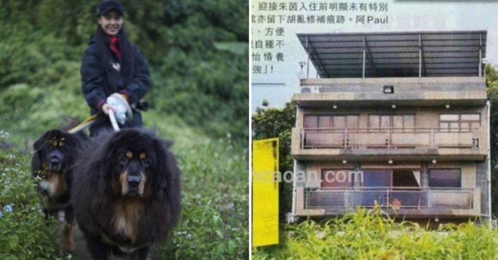 51歲朱茵放著香港豪宅不住，跑去鄉下種田養花，直言閒時最愛遛狗；網：這不比住豪宅舒心多了