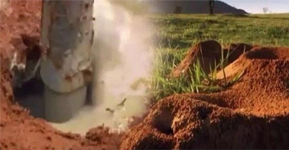 俄羅斯動物學家向蟻穴注入十噸水泥，竟讓數億隻螞蟻爆走，凝固後挖開一看，都嚇傻了