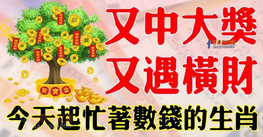 又中大獎,又遇橫財,今天起忙著數錢的生肖