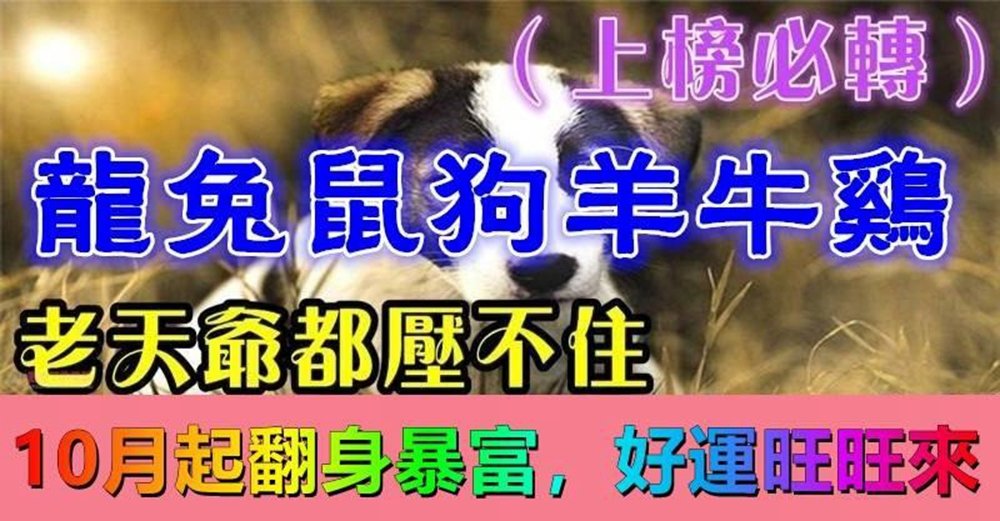 老天爺都壓不住,10月起翻身暴富的生肖