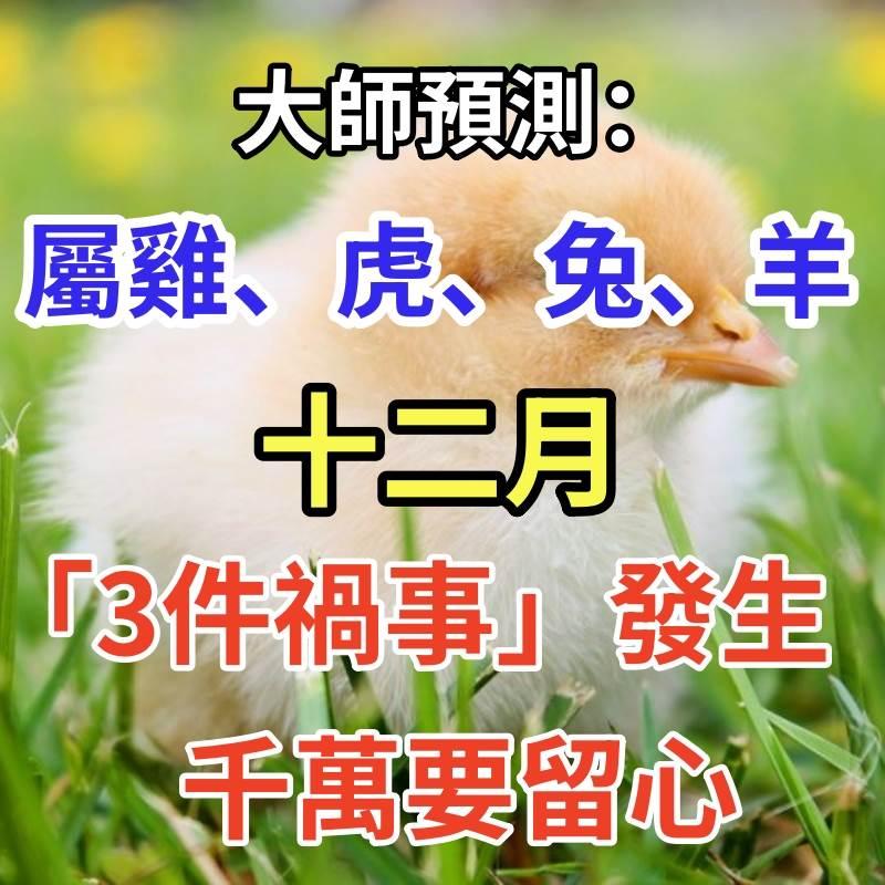 大師預測:「屬雞、屬虎、屬兔、屬羊人」 十二月 有「3件禍事」發生:千萬要留心