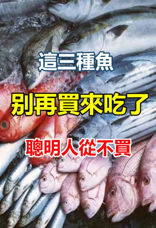 含寄生蟲最多的3種魚，水產商自己都不吃，很多人並不知道，還經常買來吃