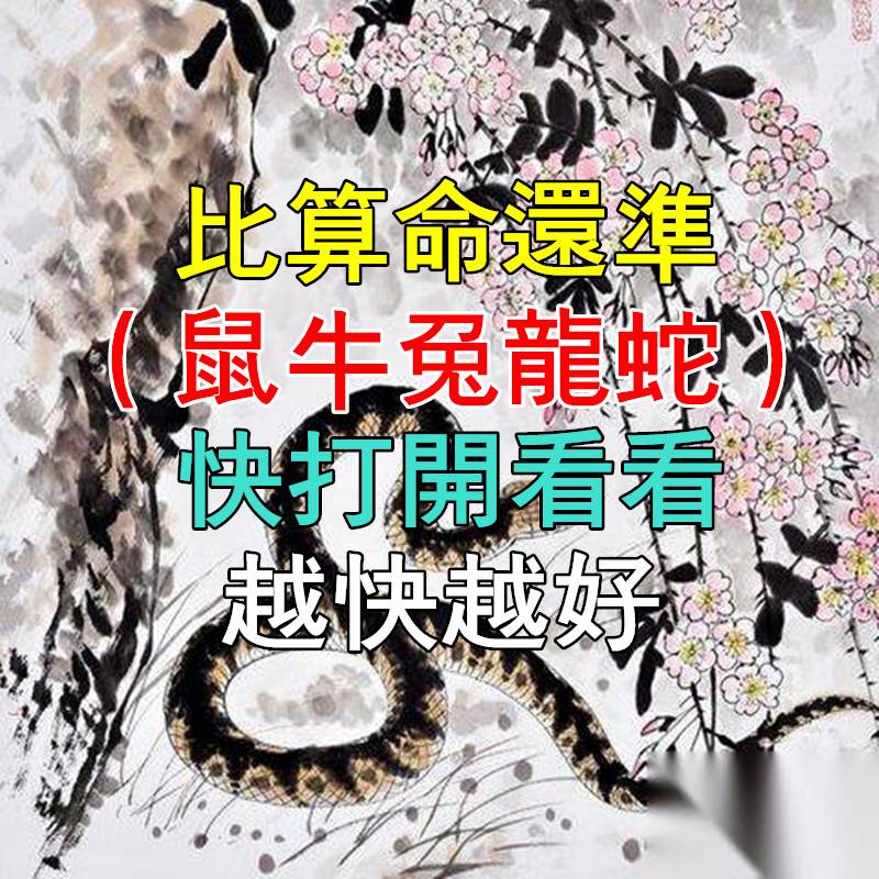 比算命還準!(鼠牛兔龍蛇)中年運如何?快來看看