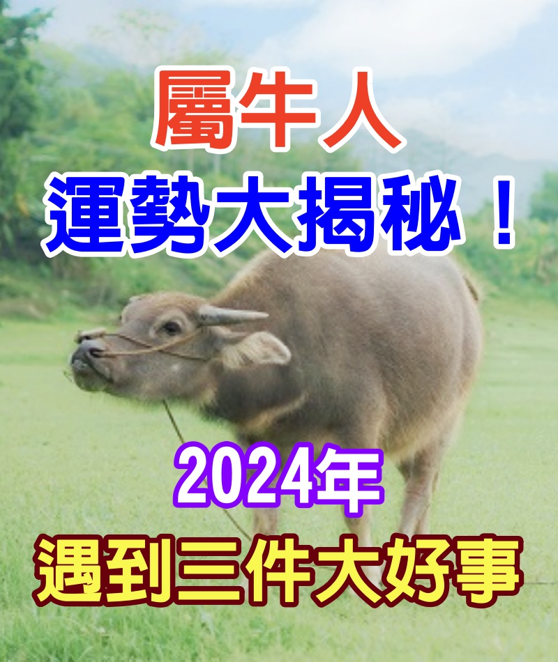 屬牛人運勢大揭秘！2024年上半年你將遇到這三件好事，讓你翻身做主人