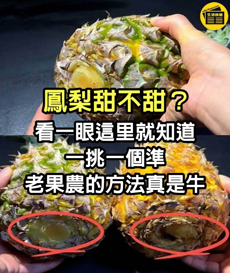 鳳梨甜不甜?看一眼這里就知道,一挑一個準,老果農的方法真是牛