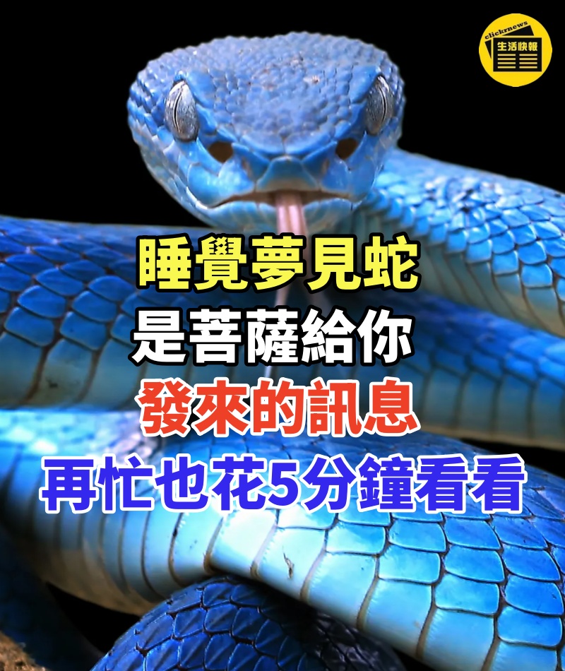 睡覺夢見蛇，竟是菩薩特地給你發來的訊息，再忙也花5分鐘看看