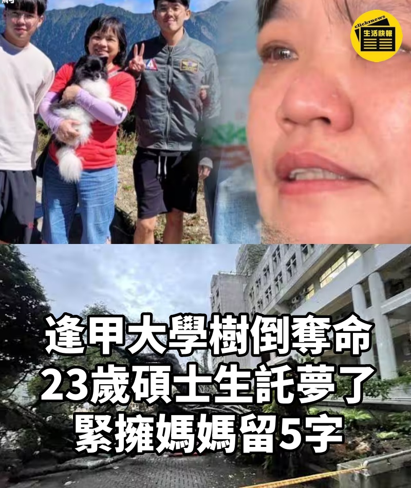逢甲大學樹倒奪命！23歲碩士生託夢了，緊擁媽媽留5字