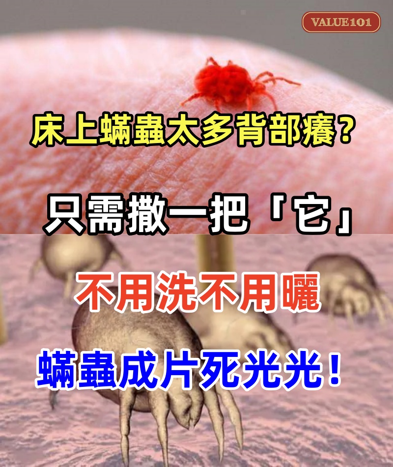 床上蟎蟲太多背部癢？只需撒一把「它」等待20秒，不用洗不用曬，蟎蟲成片死光光！老祖宗的方法太管用