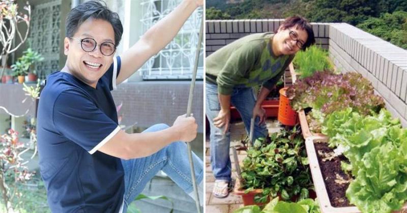 55歲許傑輝頂樓變菜園，自己種菜自己吃，當城市農夫20年，不只為吃菜，更是心靈的棲所：是一種修行
