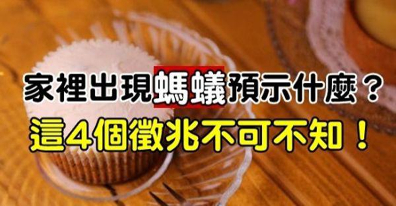 家裡突然出現很多螞蟻預示什麼?4個徵兆不可不知,切莫大意了