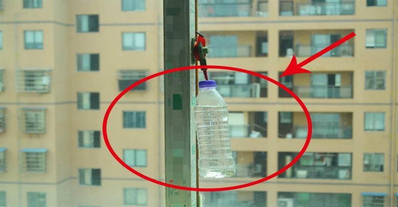礦泉水瓶不要扔，裝點水掛在窗戶邊，作用真厲害，後悔沒有早知道