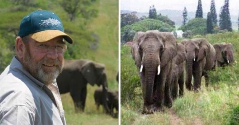 萬物皆有靈性，眾生皆有佛性，他22年前變賣所有家產拯救8隻大象，恩人離世後象群跋涉12小時，窗前哀鳴送別