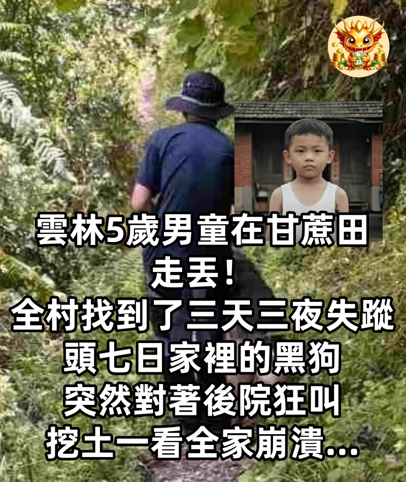 雲林5歲男童在甘蔗田走丟，全村找到了三天三夜失蹤，頭七日家裡的黑狗突然對著後院狂叫，挖土一看全家崩潰……